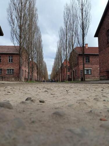 Auschwitz – Birkenau