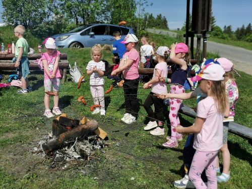 Piknik z okazji Dnia Dziecka. Gry i zabawy na łonie natury, palenie ogniska, pieczenie kiełbasek