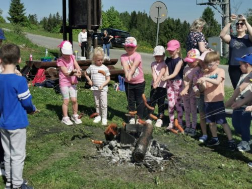 Piknik z okazji Dnia Dziecka. Gry i zabawy na łonie natury, palenie ogniska, pieczenie kiełbasek