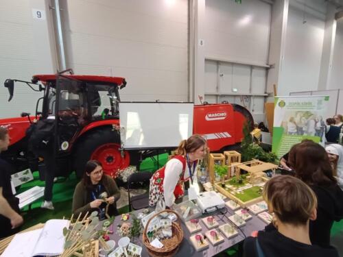 Uczniowie podczas Festiwalu zawodów w Krakowie