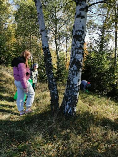 Akcja ekologiczna "Sprzątanie świata"