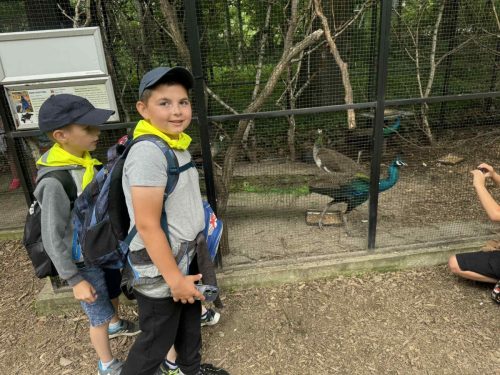Dzieci zwiedzają zoo